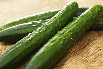 きゅうり　Cucumber
