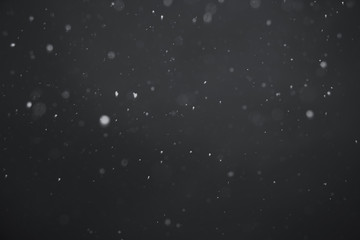 Falling snow on black background.