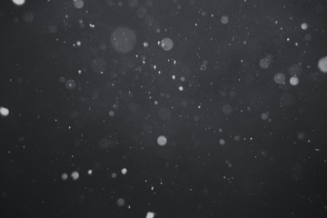 Naklejka premium Falling snow on black background.