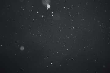 Obraz na płótnie Canvas Falling snow on black background.