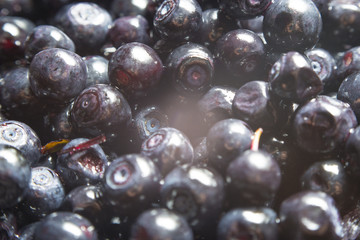 Wild forest berry blueberries is on the table.
