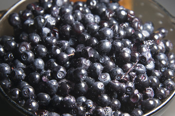 Wild forest berry blueberries is on the table.