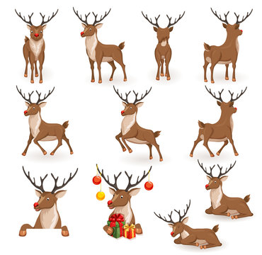 Reindeer Christmas Set