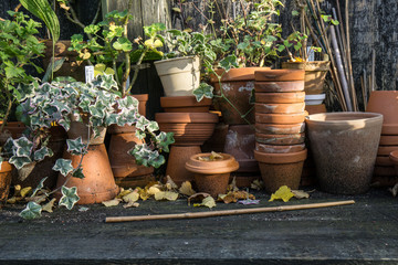 romantic idyllic plant table in the garden with old retro flower pot pots, tools and plants