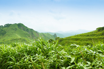 summer mountains in Hokkaido
