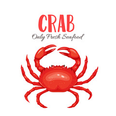 Crab vector illustration in cartoon style