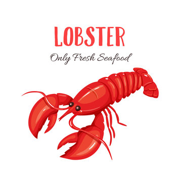 Lobster vector illustration in cartoon style