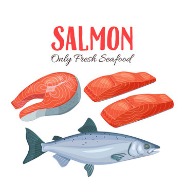 Set salmon vector illustration.