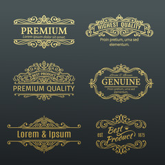 Vintage Vector Golden Banners Labels Frames.