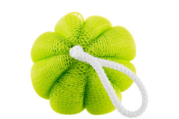 Green sponge close up on a white background isolated