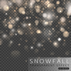 Snowfall transparent effect vector illustration