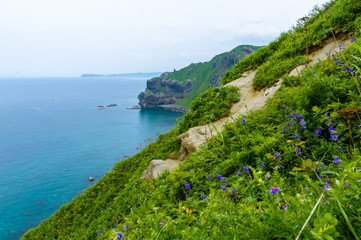 Japan, summer, cape of Hokkaido, North blue sea
