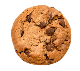 chocolate chip cookie