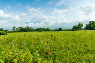 grassland and cloud
