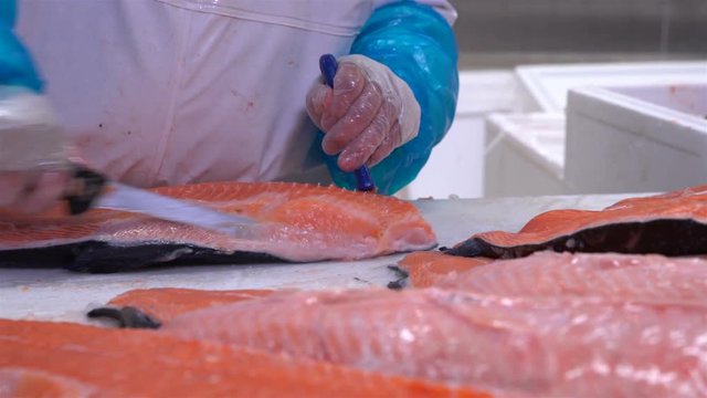 Man slicing a fillet of salmon at table in a fish shop.