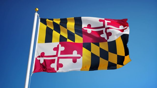 Maryland (U.S. state) flag waving in slow motion against blue sky, seamlessly looped, close up, isolated on alpha channel with black and white matte, perfect for film, news, composition