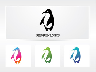 Obraz premium penguin logo
