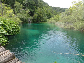 nature view