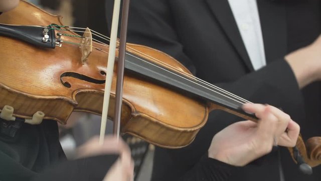 Close-up of musician playing at violin.