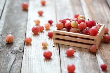 Juicy organic gooseberries in a wooden box. Selective focus