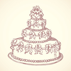 Cake. Vector drawing