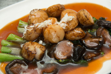 Studio closeup of seared scallops, garnished with vegetables
