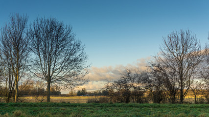 Fototapeta na wymiar Herbstlandschaft mit Baeumen, Wiese blauem Himmel und Wolken mit Abendrot