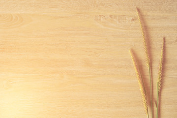 wooden table with the flower of grass. wood background. space co