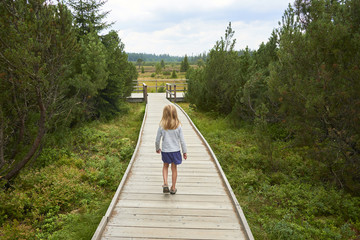 Child little blond girl exploring nature at Three lake moor (Trijezerni slat), National Park Sumava, Bohemian forest, Czech Republic

