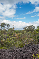 Rangitoto