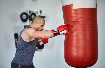 Boxer training in a gym