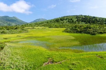 Pond at the top of the mountain covered with green.