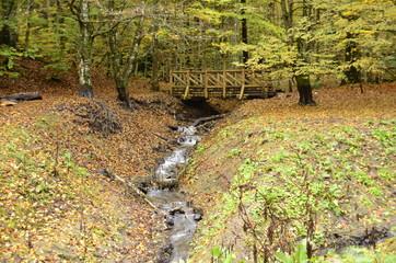 Yedig&ouml;llerde Sonbahar