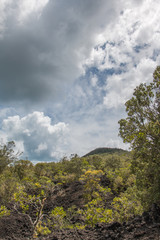 Rangitoto