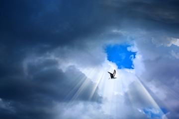 detail shot of blue sky and the sun shining
