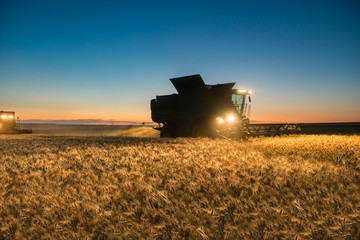 Combine harvester working on a wheat crop at night