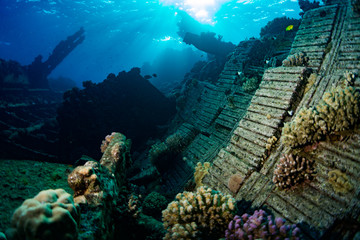 Chrisoula K wreck
