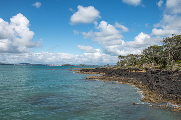 In Rangitoto island