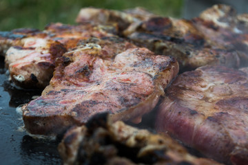 Grilling meat on wood stove