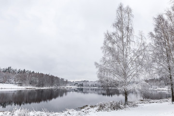 White winter landscape lake in the forest