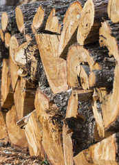 Firewood.