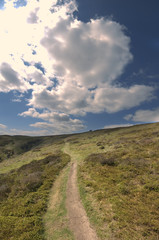 generic high resoltion image of a footpath in typical english co