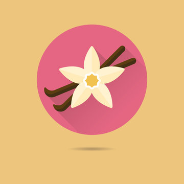 Vanilla Pods And Flower Flat Design Vector Icon