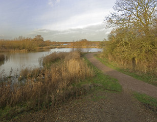 generic high resoltion image of a footpath in typical english co