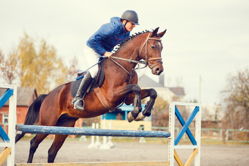 Young horseman on show jumping competition