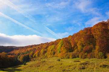 Bright Autumn sky and yellow and red beech forest in the Carpathian Mountains in the golden autumn season.