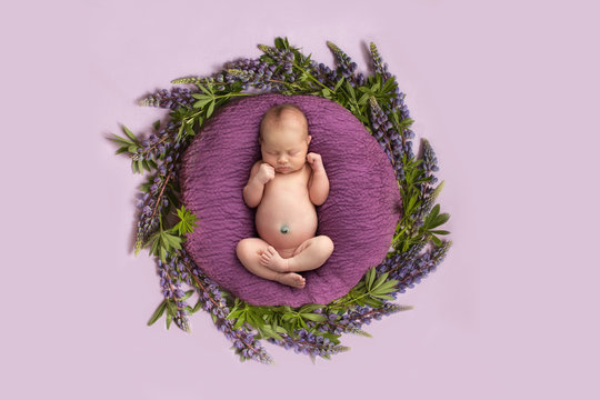 newborn girl on pink background with purple flowers, circle