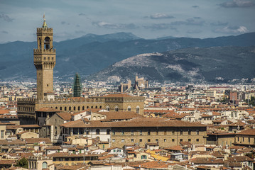 Fototapeta na wymiar Florence, Italy- August 12, 2016: Cityscape of the city of Florence with theTower of Palazzo Vecchio in Florence, Italy