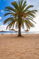 Naklejka na ściany i meble Deck chairs under umbrellas and palm trees on a tropical beach
