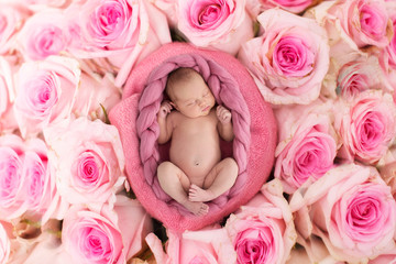 sleeping newborn girl on gentle pink background with roses flowers, close-up © natalialeb